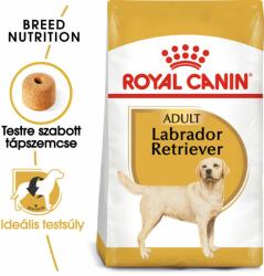 Royal Canin Kiegészítés a száraztáphoz: 20x140g Royal Canin Labrador Retriever Adult nedvestáp