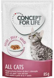 Concept for Life 12x85g Concept for Life All Cats aszpikban nedves macskatáp