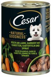 Cesar Cesar Natural Goodness - Miel (6 x 400 g)
