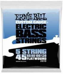 Ernie Ball 2810 Flatwound Bass 5 String 45-130