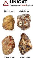 Palm Stone Riolit Bird Eyes Galben Natural - 42-60 x 34-41 x 22-34 mm - ( XXL )