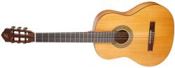 Ortega Guitars RSTC5M-L