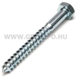  Állványcsavar 6x 80mm 10db/doboz(JKH) (3904038)