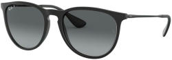 Ray-Ban Erika RB4171 622/T3