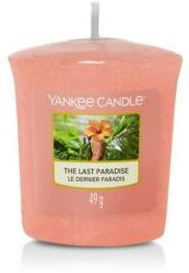 Yankee Candle The Last Paradise 49 g