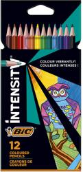 BIC Creioane colorate 12 culori triunghiulare Bic Intensity 9157 (9505272)