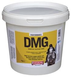  DMG - Dimetilglicin por állatgyógyászati gyógyhatású termék 250 gramm
