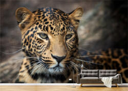 Persona Tapet Premium Canvas - Portretul unui leopard - tapet-canvas - 170,00 RON