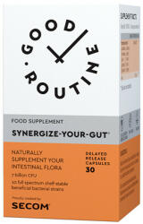 Good Routine Synergize-Your-Gut, 30cps, Good Routine