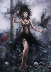 Grafika - Puzzle Cris Ortega: Shadow - 1 000 piese Puzzle