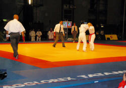 Saltea de judo Agglorex STANDARD - densitate 230/240 kg/m3