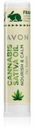 Avon Cannabis Sativa Oil Nourish & Calm ajakbalzsam kender olajjal 4, 5 g