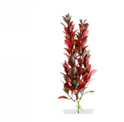 JK Műnövény Red Ludwigia 18-21 cm