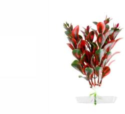 JK Műnövény Red Ludwigia 13-16 cm