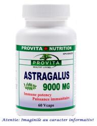 Provita Nutrition Astragalus 60 capsule Provita Nutrition