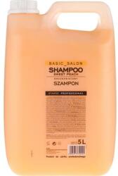 Stapiz Șampon Piersic - Stapiz Basic Salon Shampoo Sweet Peach 5000 ml