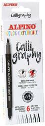 ALPINO Marker cu 2 capete, pentru caligrafie, varf fine/tip pensula, 6 culori/set, ALPINO Color Experience (MS-AR001040)