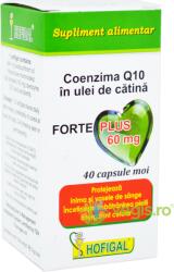 Hofigal Coenzima Q10 in Ulei Catina Forte Plus 60mg 40cps moi