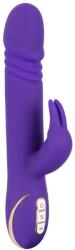You2Toys Stoss Stange Purple Vibrator
