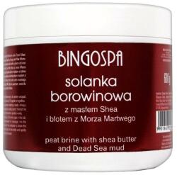 BINGOSPA Sare de baie cu unt de shea și nămol din Marea Moartă - BingoSpa Brine Mud With Shea Butter 600 g