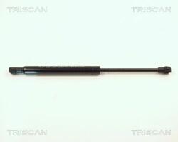 TRISCAN Amortizor capota TRISCAN 8710 11107 (8710 11107) - automobilus