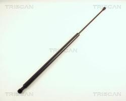 TRISCAN Amortizor portbagaj TRISCAN 8710 38213 (8710 38213) - automobilus