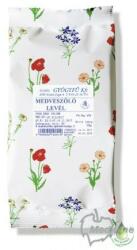 Medveszőlő levél (NKC892759)