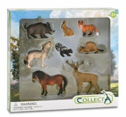 CollectA Set de 8 figurine pictate manual Animale din padure (COL84151WB) - ookee