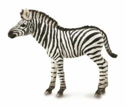 CollectA Figurina pictata manual Pui de zebra (COL88850M) Figurina