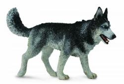 CollectA Figurina Caine Husky Siberian L Collecta (COL88707L) - ookee