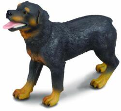 CollectA Rottweiler - Collecta (COL88189L) - ookee Figurina