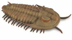 CollectA Figurina pictata manual Trilobit Redlichia Rex Trilobite (COL88906L)