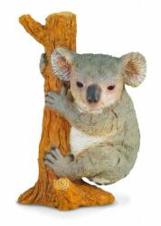 CollectA Figurina Koala Collecta, 5.7 cm, 3 ani+ (COL88356M)