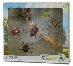 CollectA Set 7 Insecte Collecta, multicolor, 3 ani+ (COL89819WB) Figurina