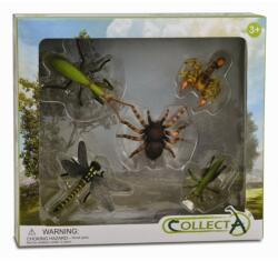 CollectA Set 5 figurine Insecte Collecta, 33 cm, 3 ani+ (COL89135WB)