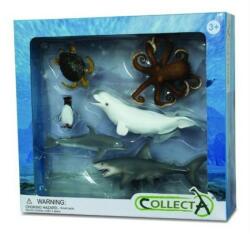 CollectA Set 6 figurine viata acvatica Collecta, 3 ani+ (COL89868WB)