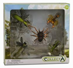 CollectA Set 5 figurine Insecte - Collecta (COL89135WB) - bekid Figurina