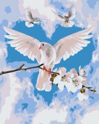  Festés számok szerint - Galambok Méret: 40x50cm, Keretezés: Keret nélkül (csak a vászon)