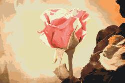  Festés számok szerint - Vintage rózsa 3 Méret: 40x60cm, Keretezés: Keret nélkül (csak a vászon)