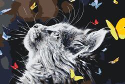 Festés számok szerint - Kiscica pillangók társaságában Méret: 40x60cm, Keretezés: Keret nélkül (csak a vászon)