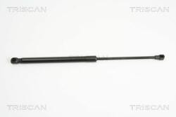 TRISCAN Amortizor portbagaj TRISCAN 8710 13274 (8710 13274) - automobilus