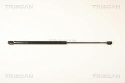 TRISCAN Amortizor portbagaj TRISCAN 8710 25250 (8710 25250)