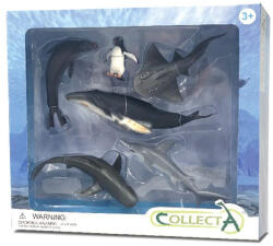CollectA Set 6 figurine Viata Marina (COL84050WB) Figurina