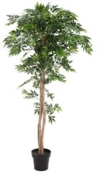 EUROPALMS Ficus longifolia, artificial plant, 165cm (82506350)