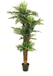 EUROPALMS Areca palm, artificial plant, 170cm (82509408)