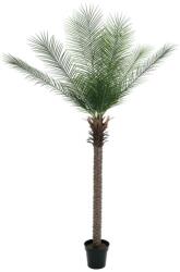 EUROPALMS Phoenix palm deluxe, artificial plant, 220cm (82509722)