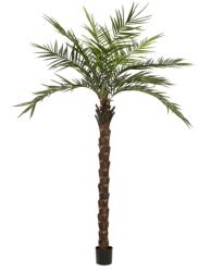 EUROPALMS Kentia palm tree deluxe, artificial plant, 300cm (82511370)