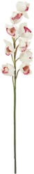 EUROPALMS Cymbidium branch, artificial, white-pink, 90cm (82530312)