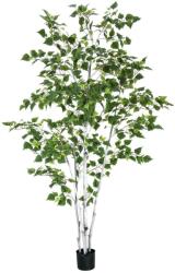  EUROPALMS Birch Tree, artificial plant, 210cm (82505232)