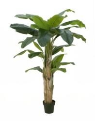 EUROPALMS Banana tree, artificial plant, 170cm (82509539)